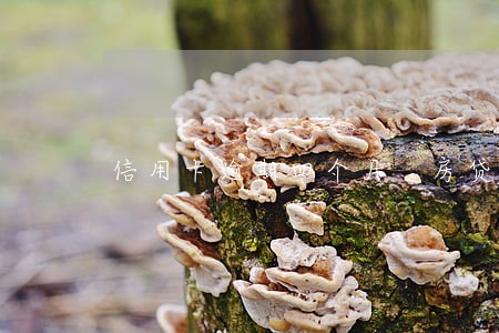 信用卡逾期四个月 房贷 信用卡逾期四个月 房贷